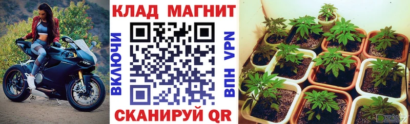 Где купить Семилуки APVP Кокаин МЕФ Кодеин МАРИХУАНА АМФЕТАМИН