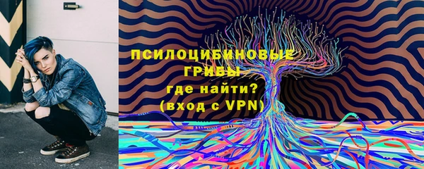 ALPHA-PVP Бугульма