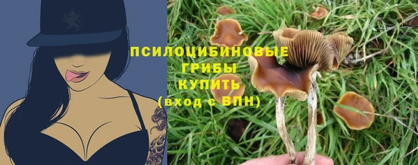 хмурый Богданович